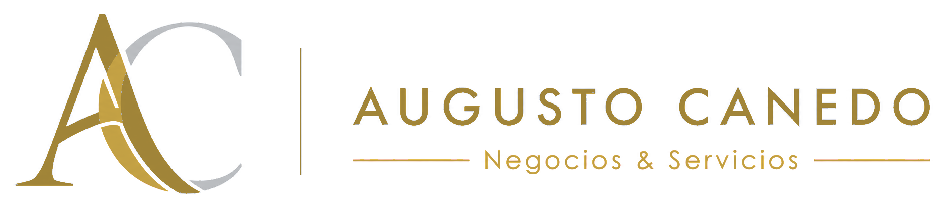 Augusto Canedo — Negocios & Servicios